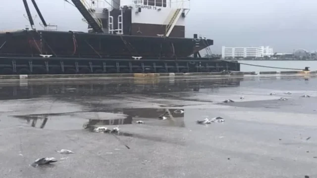 4bea5fa68f7cac7999ba1698ef9ebb8e